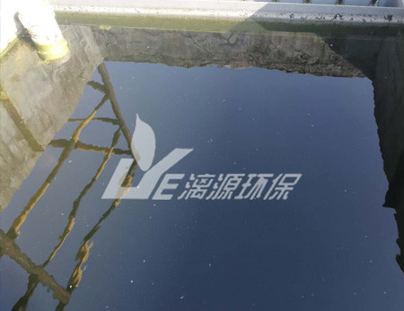 化工污水處理的污泥脫水技術(shù)有哪些？