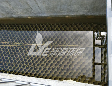 畜禽養(yǎng)殖業(yè)廢水對環(huán)境的危害有哪些呢?