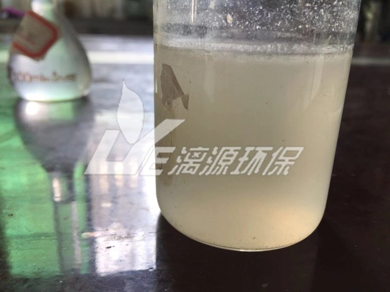 豆制品廢水水樣 豆制品廢水水樣