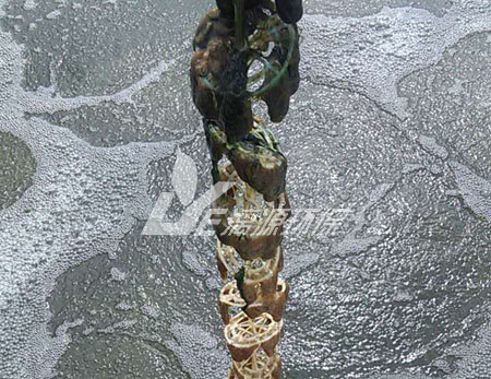 污水處理后產(chǎn)生的污泥如何分類？