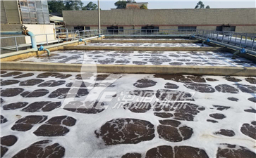 食品廢水處理技術 食品廢水處理技術