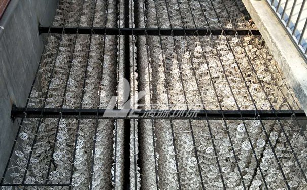 生物填料在污水處理中的應(yīng)用 生物填料在污水處理中的應(yīng)用