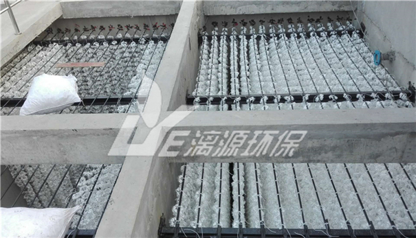 白酒釀造廢水處理技術(shù) 白酒釀造廢水處理技術(shù)