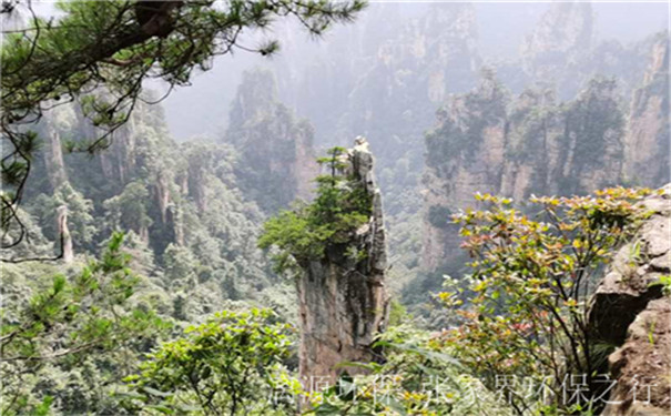 工業(yè)廢水處理廠家漓源環(huán)保2020年7月團(tuán)建活動(dòng) 工業(yè)廢水處理廠家漓源環(huán)保2020年7月團(tuán)建活動(dòng)