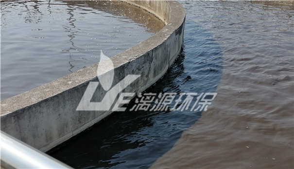 丙烯酸廢水處理技術(shù) 丙烯酸廢水處理技術(shù)