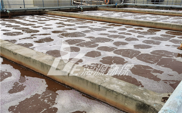 麥芽糖漿加工廢水處理技術(shù) 麥芽糖漿加工廢水處理技術(shù)