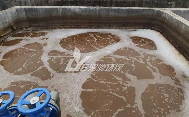 處理電泳涂料廢水的方法 處理電泳涂料廢水的方法