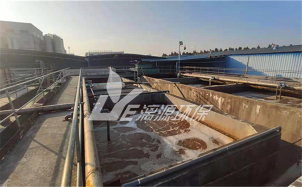 椰子加工廠廢水處理技術(shù) 椰子加工廠廢水處理技術(shù)