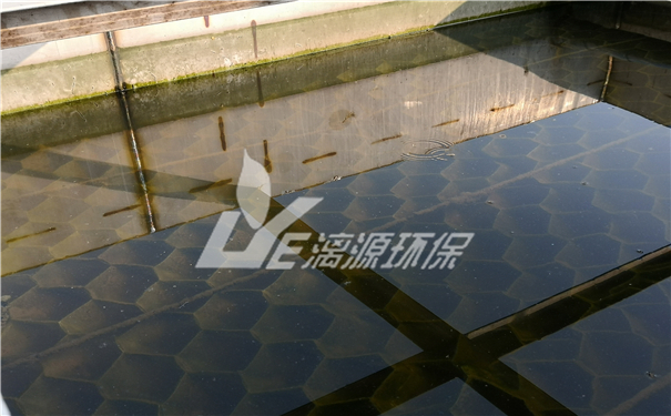 核桃加工廢水處理技術(shù) 核桃加工廢水處理技術(shù)