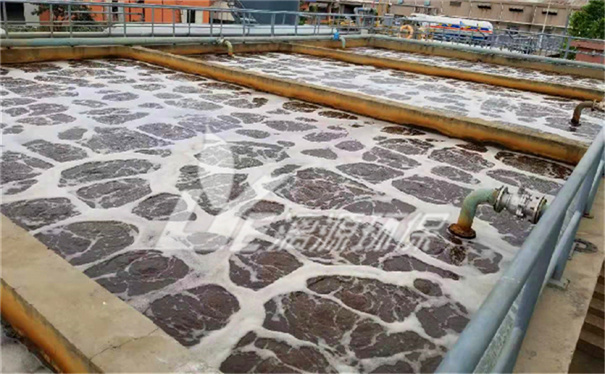 鴨毛加工廢水處理工藝 鴨毛加工廢水處理工藝