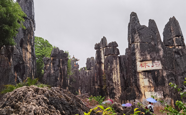 工業(yè)廢水處理廠家漓源環(huán)保2021年4月彩云之南綠色健康行 工業(yè)廢水處理廠家漓源環(huán)保2021年4月彩云之南綠色健康行