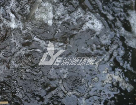 大米加工廢水處理技術(shù)