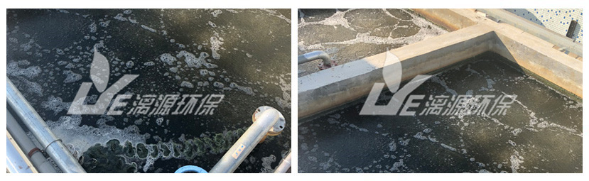 漓源環(huán)保承接的佛山食品廢水處理工程 漓源環(huán)保承接的佛山食品廢水處理工程