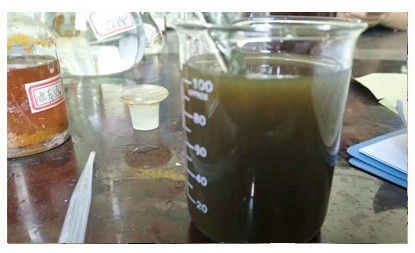 化工廢水處理的電絮凝法實(shí)驗(yàn) 化工廢水處理的電絮凝法實(shí)驗(yàn)