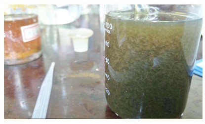 化工廢水處理的電絮凝法實(shí)驗(yàn) 化工廢水處理的電絮凝法實(shí)驗(yàn)