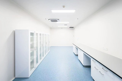 實(shí)驗(yàn)室全鋼實(shí)驗(yàn)臺價格